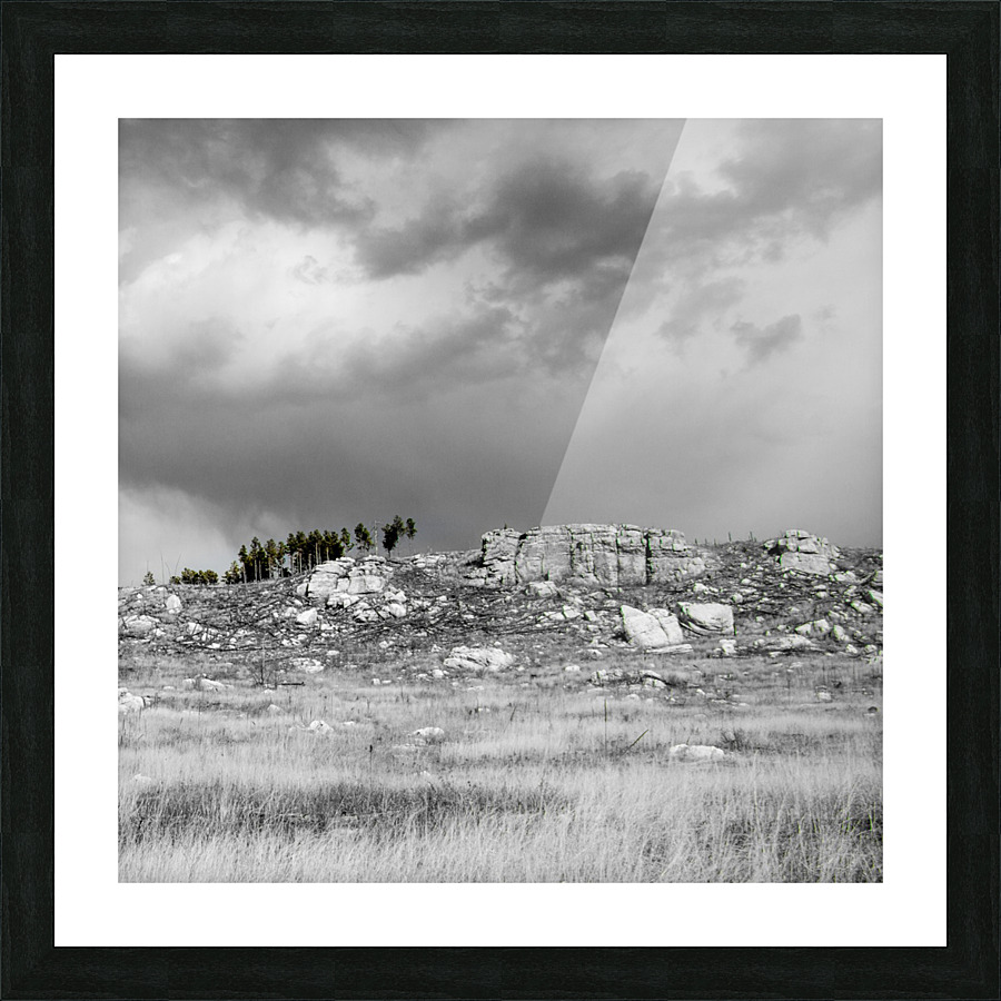 The Sentinels Picture Frame print