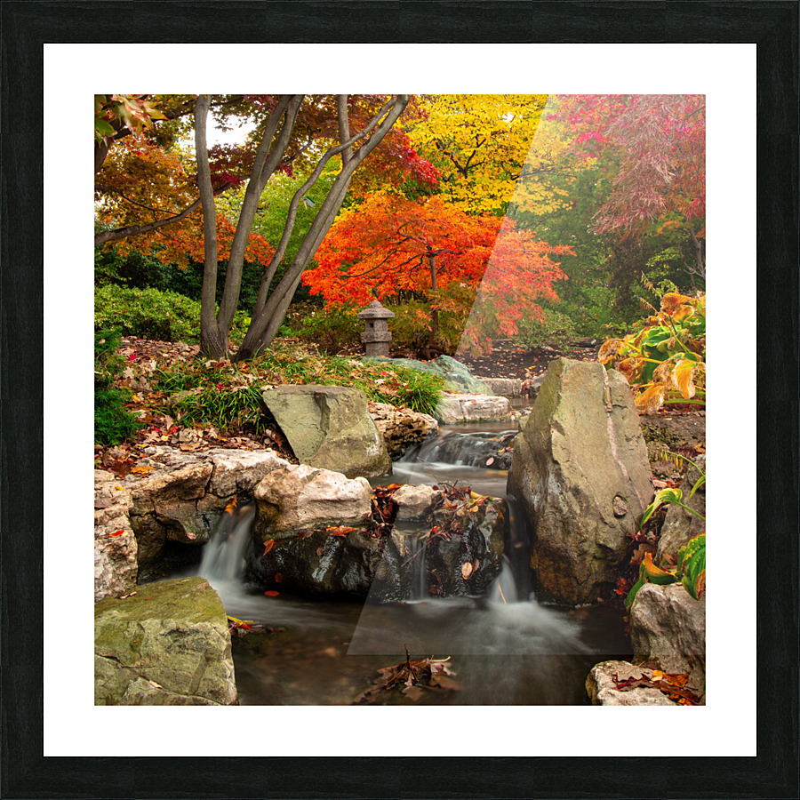 Autumn Garden Picture Frame print