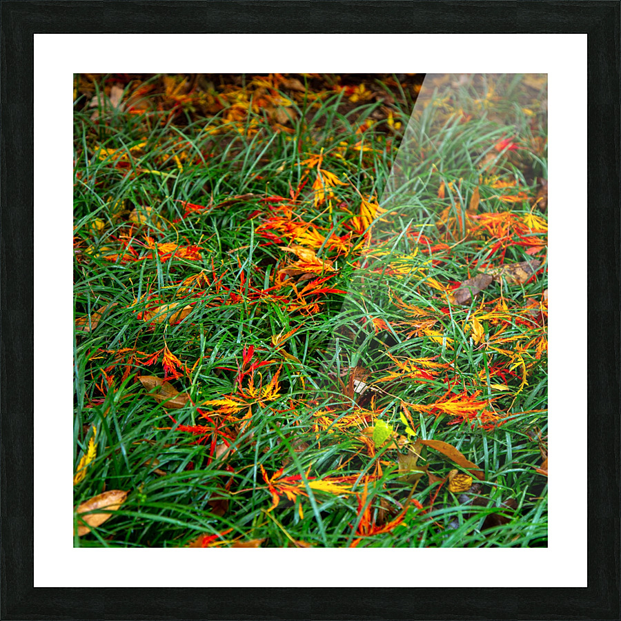 Colored Grass Picture Frame print