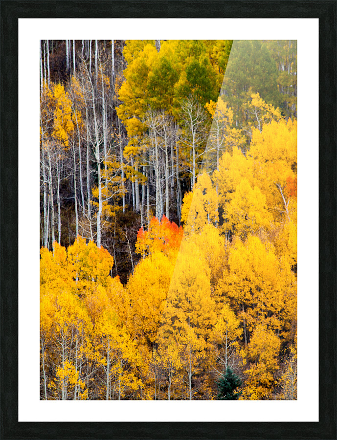 Golden Heights Picture Frame print