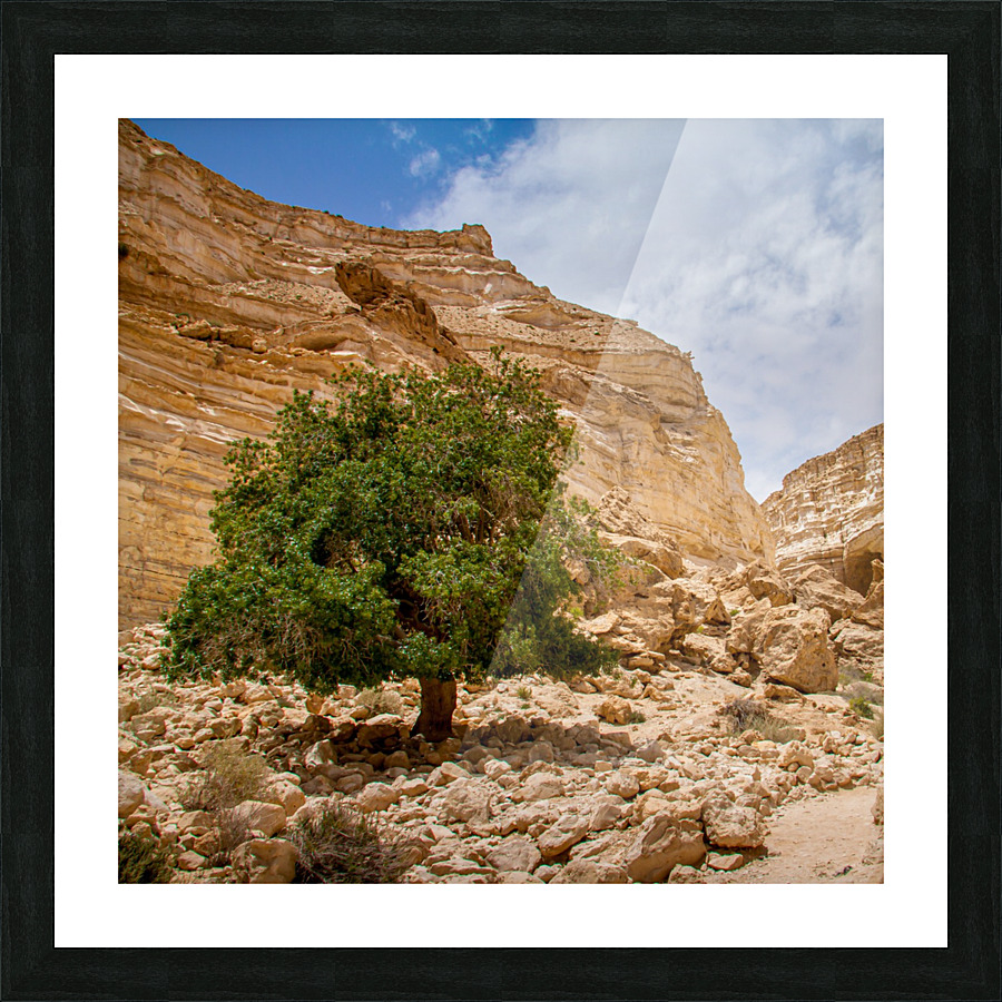 Life Picture Frame print