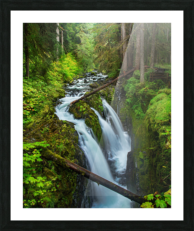 Verdant Falls Picture Frame print