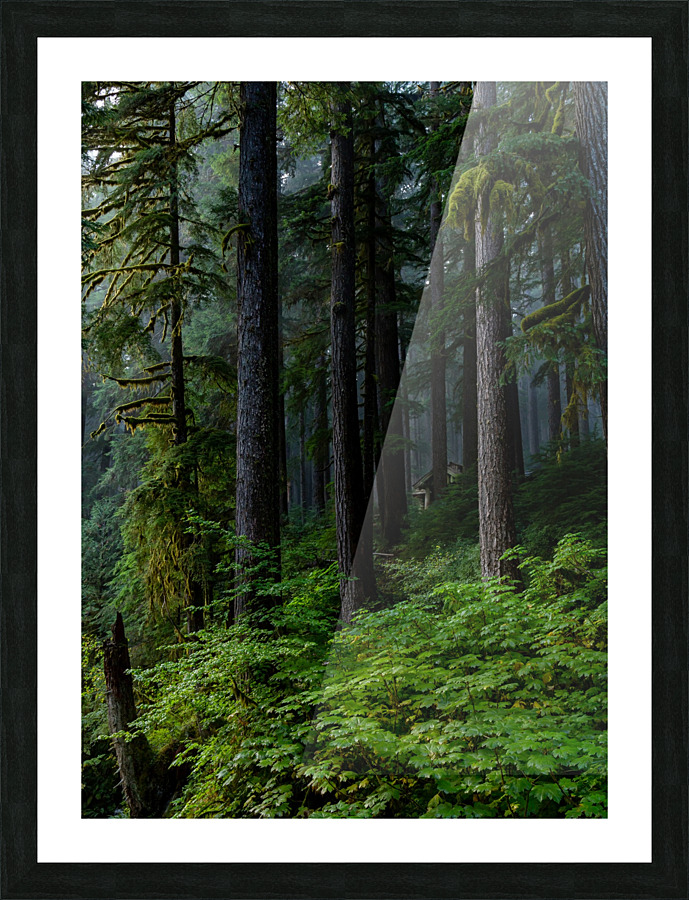 Misty Home Picture Frame print