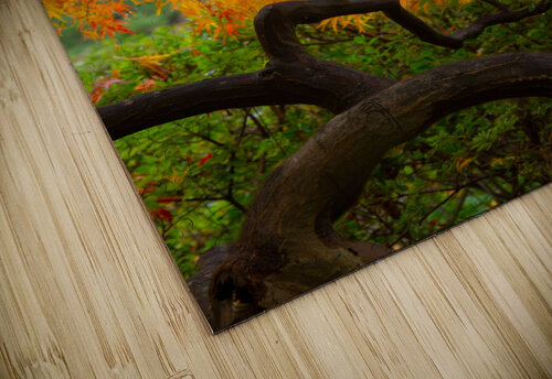 Golden Twists Brendan McMillan puzzle