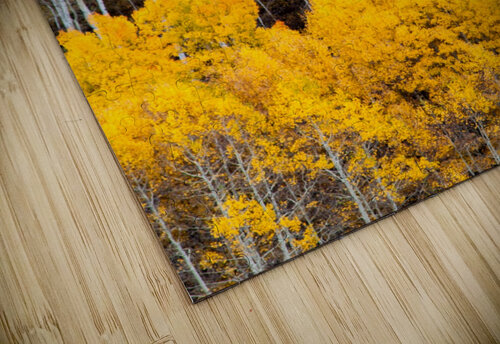 Golden Heights Brendan McMillan puzzle