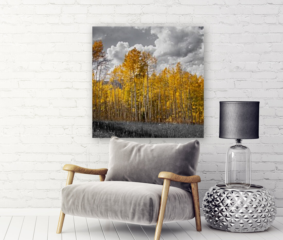 Mountain Gold Reproduction