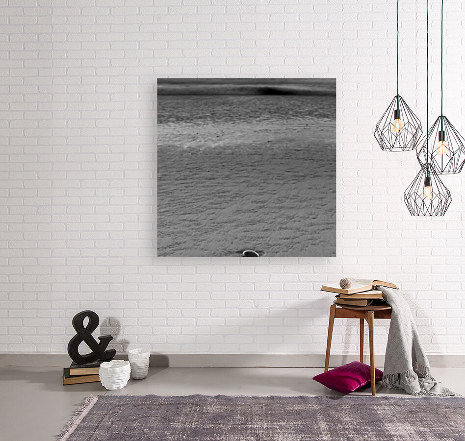 Beach Rock Reproduction