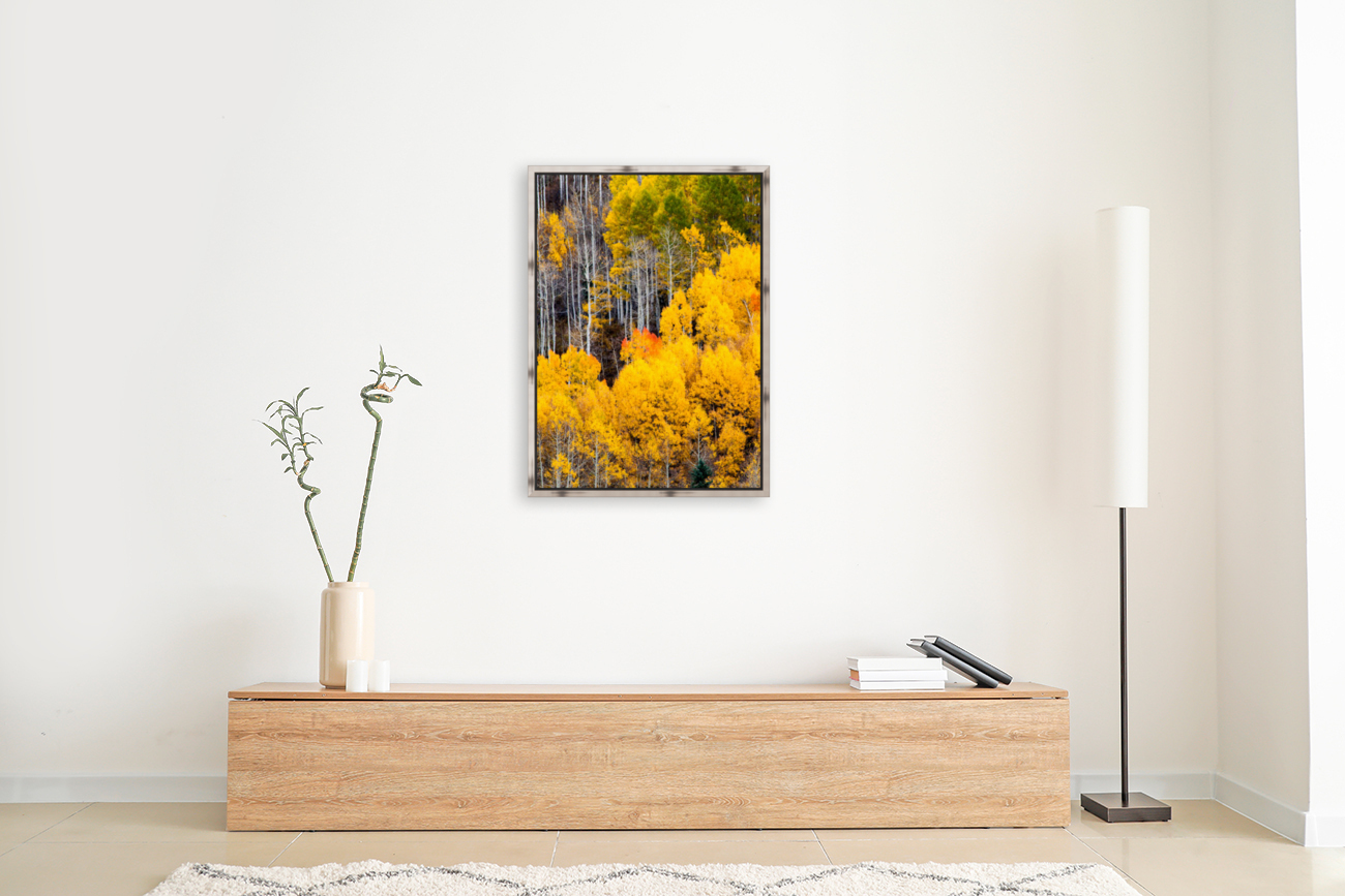 Golden Heights Reproduction
