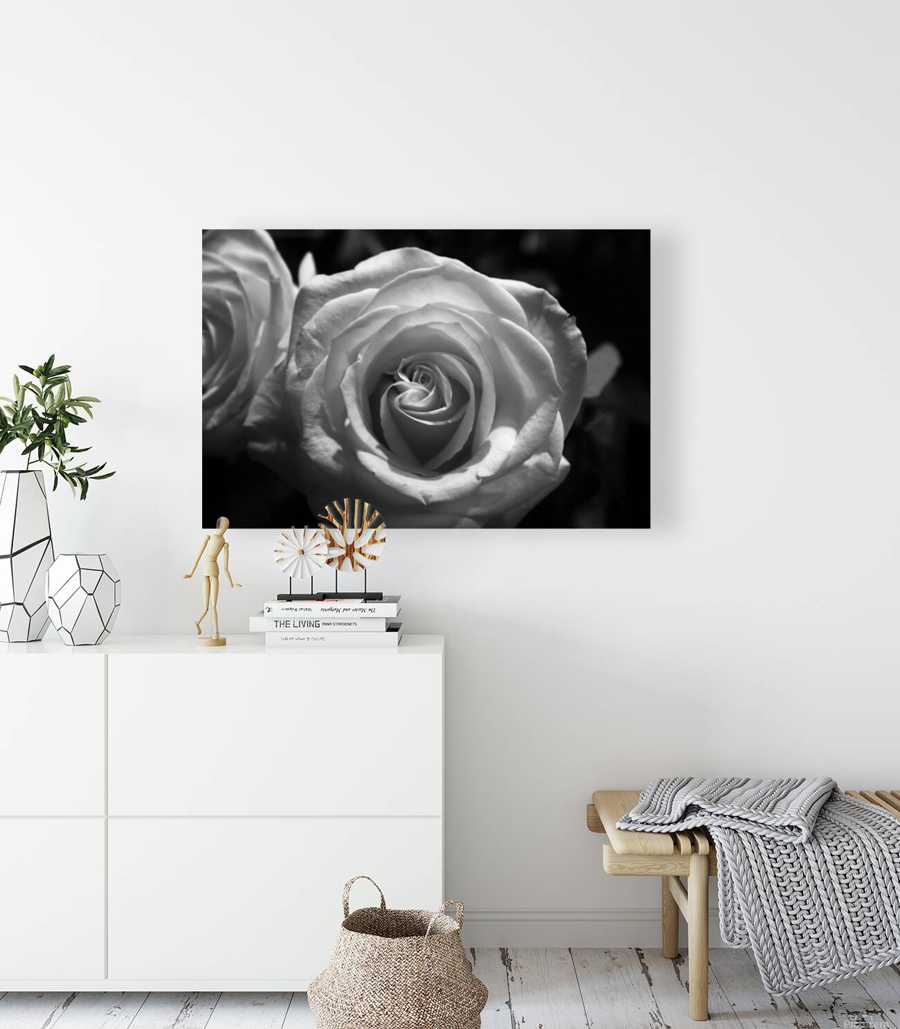 Rose Reproduction