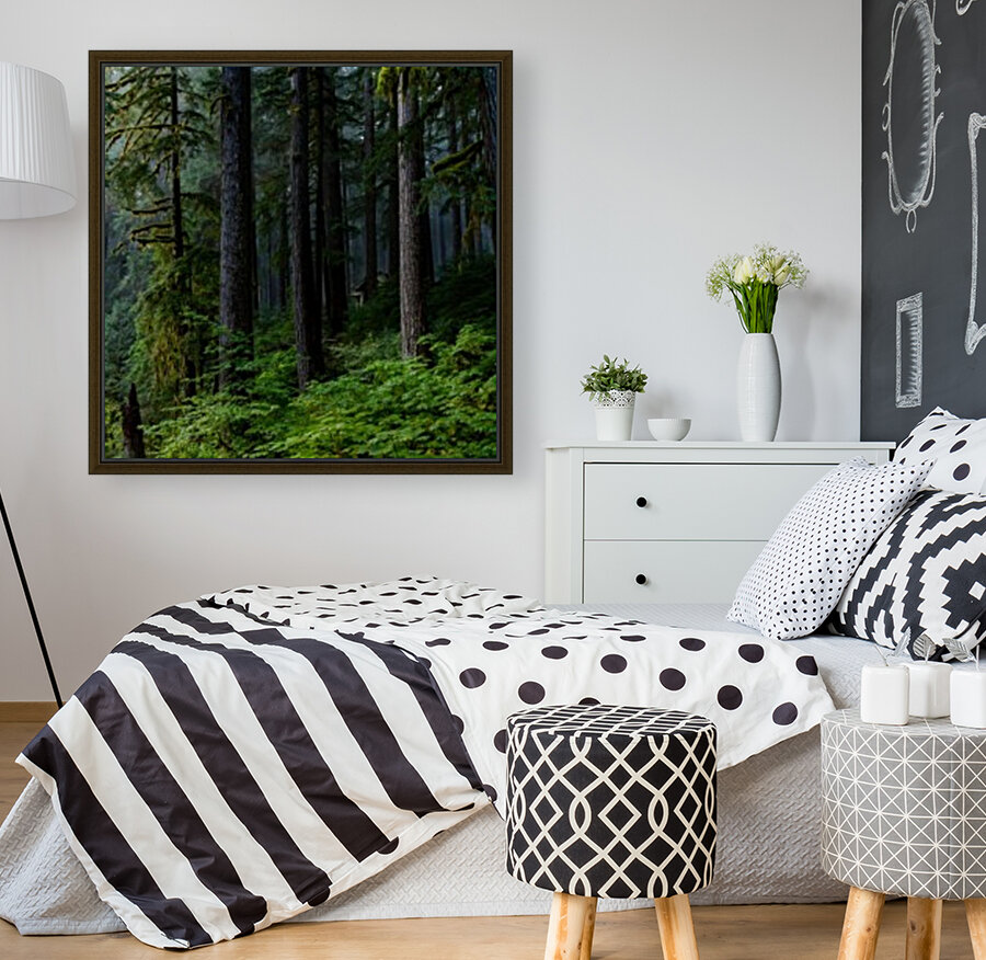 Misty Home Reproduction