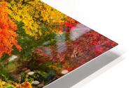 Autumn Garden HD Metal print