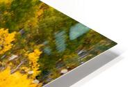 Golden Heights HD Metal print