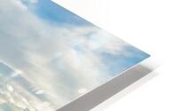Barren Light HD Metal print