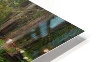 Verdant Falls HD Metal print