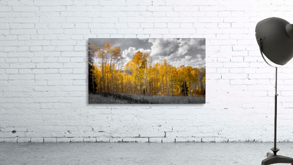 Mountain Gold Wall Preview
