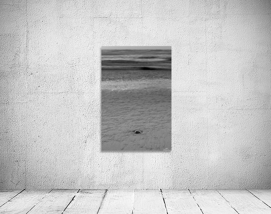 Beach Rock Wall Preview