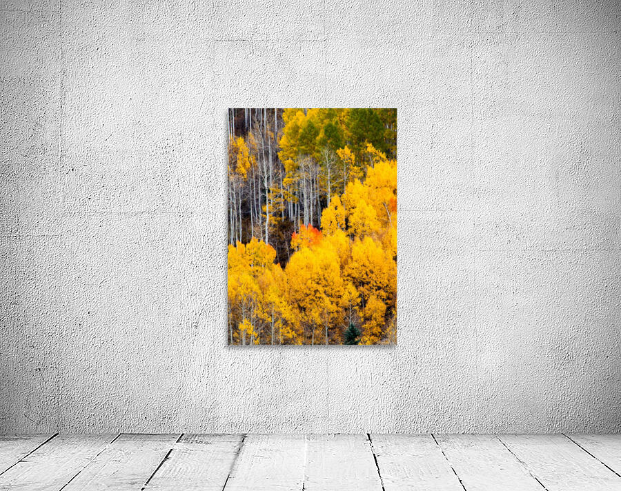 Golden Heights Wall Preview