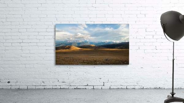 Barren Light Wall Preview