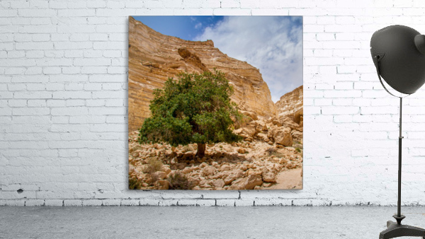 Life Wall Preview