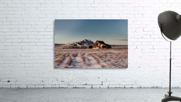 Frozen Barn Wall Preview