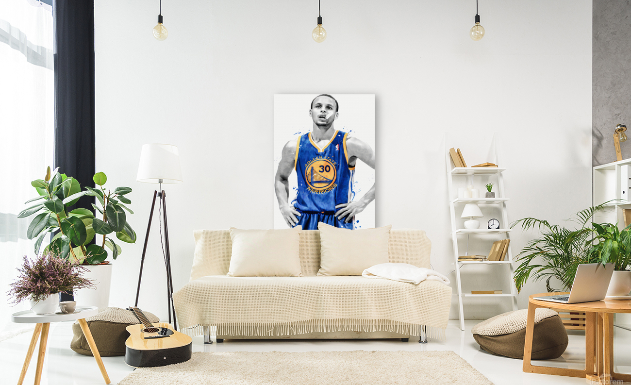 Stephen Curry Reproduction