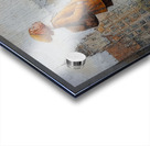 Edgewalker Acrylic print