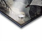 Mystical Journey Acrylic print