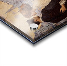 Echoes of Love Acrylic print