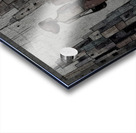 In Her Footsteps Acrylic print