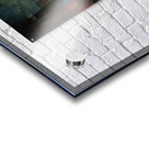 Ethereal Gaze Acrylic print