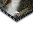 Portrait of Forgotten Hope Acrylic print