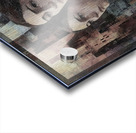 Two Selves Acrylic print