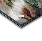 Wandering Spirits Acrylic print