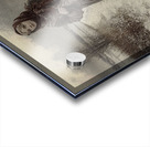 Winters Errand Acrylic print