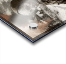 The Last Path Home Acrylic print