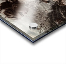 The Girl Who Spoke to Birds Acrylic print