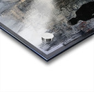 When We Vanish Acrylic print