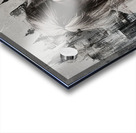 Eyes on the Vanishing Acrylic print