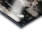 Whispers in the Pink Acrylic print