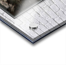 Crosswalk Silence Acrylic print