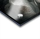 The Edge of Unknowing Acrylic print