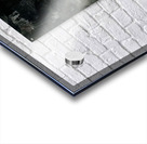 Where We Once Wandered Acrylic print