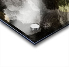 Past the Pines Acrylic print