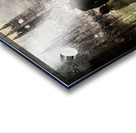 Beneath the Clocktower Acrylic print