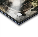 Forgotten Faces Acrylic print