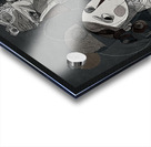 Unspoken Gravity Acrylic print