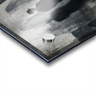 The Watchers Acrylic print