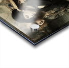 The River’s Claim Acrylic print