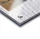 The Future Fog Acrylic print