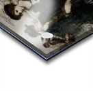 Whispers Across Time Acrylic print